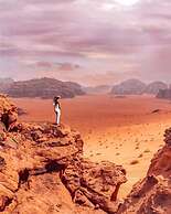 Bedouin habits tours camp