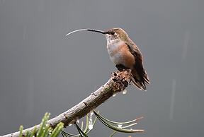 Otters Pond Bed & Breakfast