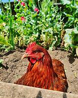 Otters Pond Bed & Breakfast