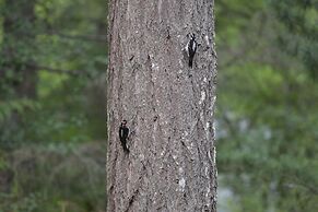 Otters Pond Bed & Breakfast