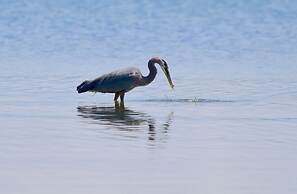 Otters Pond Bed & Breakfast