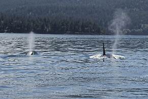 Otters Pond Bed & Breakfast