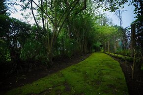 Hotel Kodai International