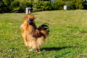 Lilyview Cottage - Robertson