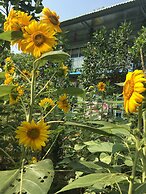 Thu Huynh Homestay - Hostel