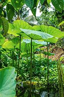 Thu Huynh Homestay - Hostel