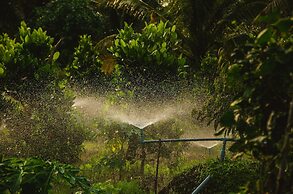 Thu Huynh Homestay - Hostel