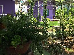 Thu Huynh Homestay - Hostel