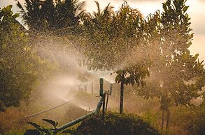 Thu Huynh Homestay - Hostel