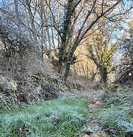 Hotel Caldelas Sacra rústico 3 estrellas