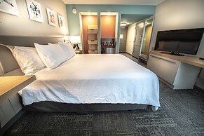 Hilton Garden Inn - Asheville South