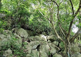 So Good Haad Rin Hostel