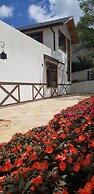 Hotel Villa Greenberg