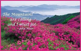 210 Cubs In The Treetops 2 Bedroom Home by RedAwning