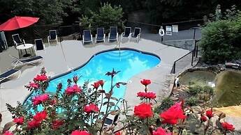 210 Cubs In The Treetops 2 Bedroom Home by RedAwning