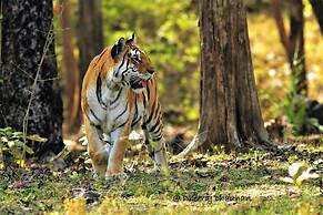 Nature's Sprout Wildmark Kanha Resort