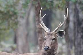 Nature's Sprout Wildmark Kanha Resort