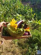 Chez Rumi Butik Otel