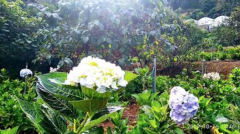 Tuyet Hoa Hon Bo Bungalow