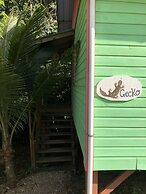 T.R.E.E.S Research Center and Eco Lodge