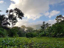 T.R.E.E.S Research Center and Eco Lodge