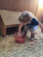 Fat Sheep Farm & Cabins