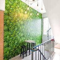 Bossa House Hostel & Cafe