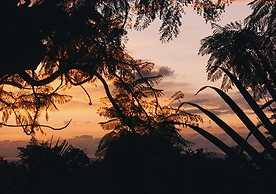 Kampala Forest Resort (KFR Lodge)