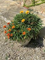 Locanda di Santantimo