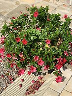 Locanda di Santantimo