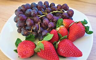 Hotel Austria Stuttgart-City