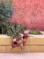 La Paleta del Pintor Hosteria