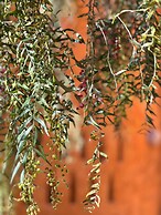 La Paleta del Pintor Hosteria