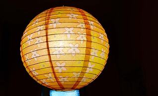 Hostel Joven Casa Reggae