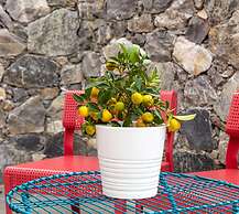 Aria Design B&B Levanto