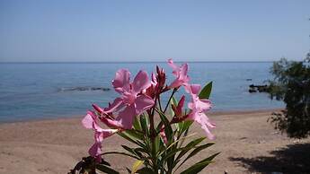 Alisahni Beachfront Villas