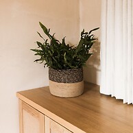 Casa Montore by Barrio Mexico