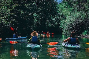 Long Point Eco-Adventures