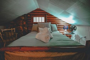 Long Point Eco-Adventures