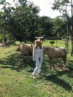 Matagalpa la Tierra Land Of Dreams