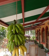 Matagalpa la Tierra Land Of Dreams