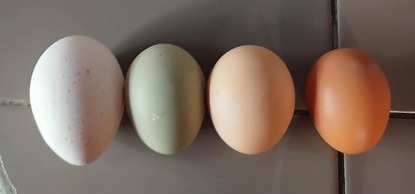 Matagalpa la Tierra Land Of Dreams