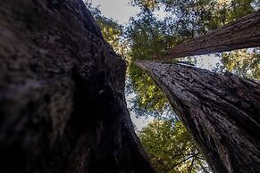 Boon Hotel + Spa - Adults Only