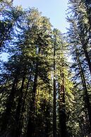 Boon Hotel + Spa - Adults Only