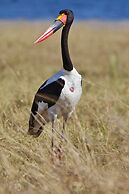 Lochinvar Safari Lodge