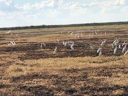 Lochinvar Safari Lodge