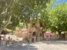 Finca Ses Fontanelles