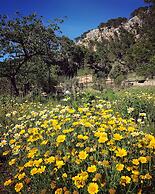 Finca Ses Fontanelles