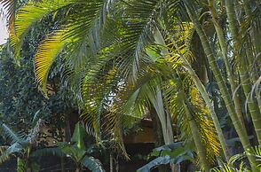 Suítes Las Flores Maresias