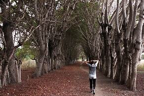 Costa Beach Resort & Club